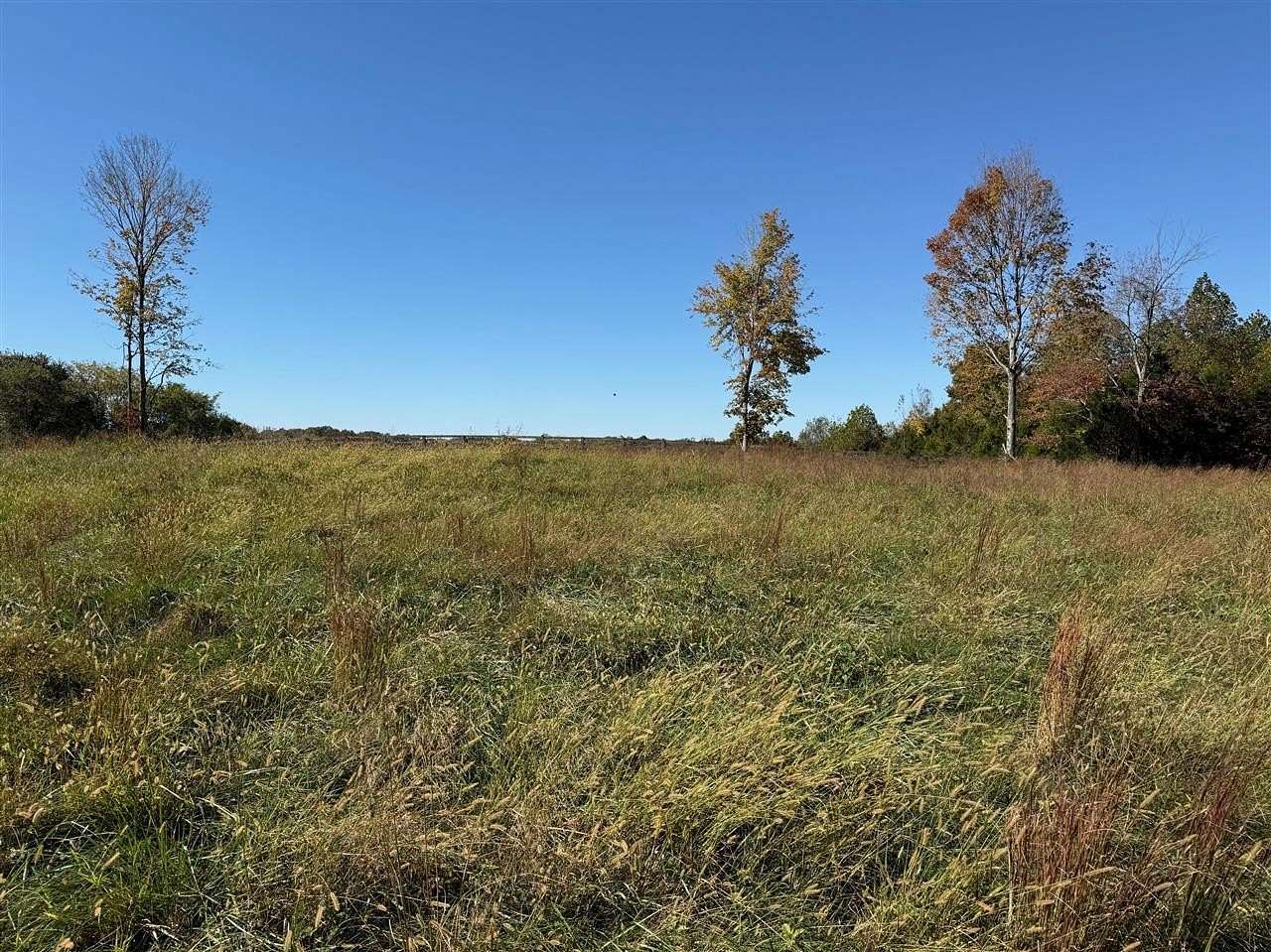 3.25 Acres of Residential Land for Sale in Bowling Green, Kentucky