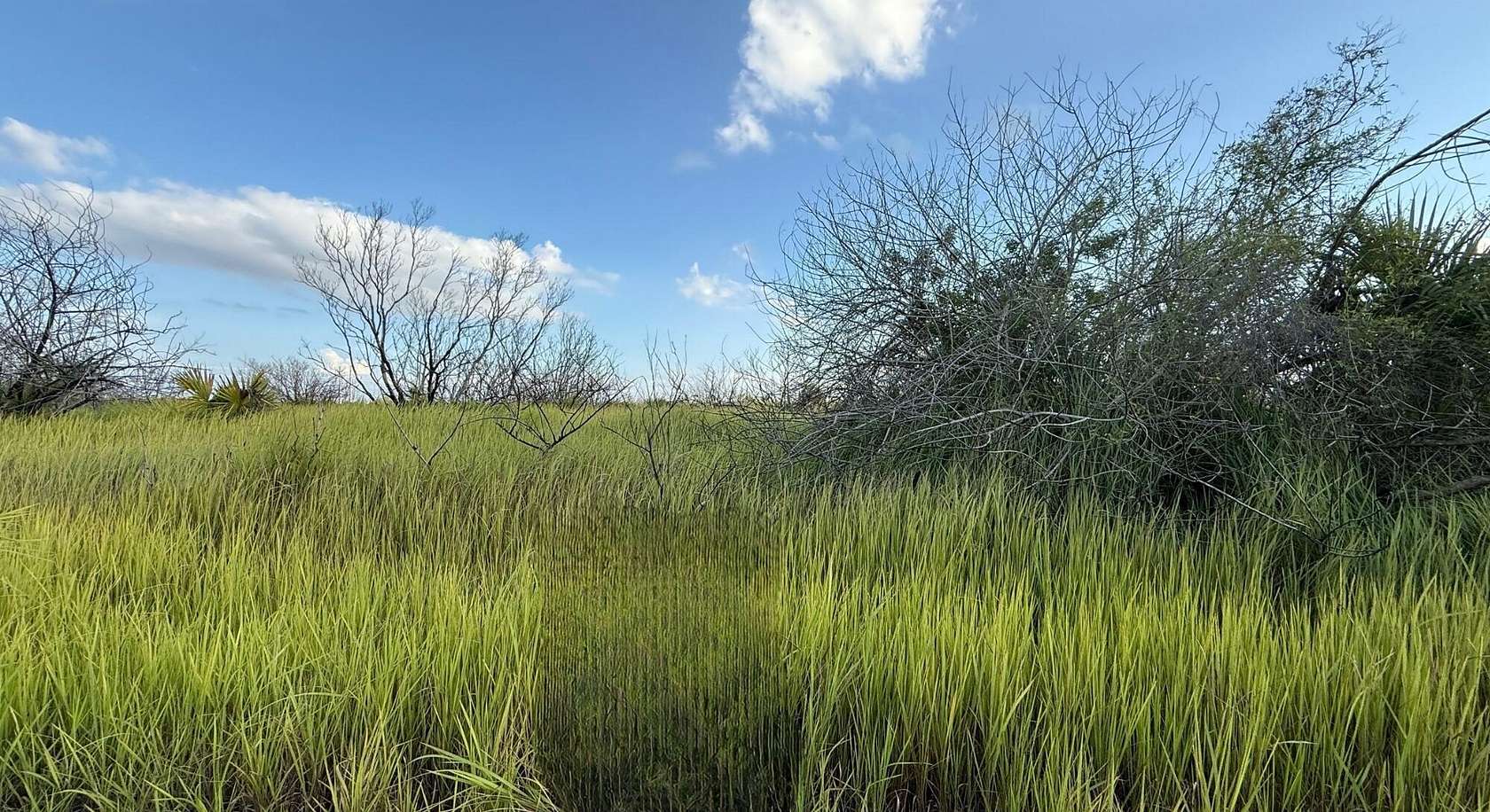 0.29 Acres of Residential Land for Sale in Palm Bay, Florida