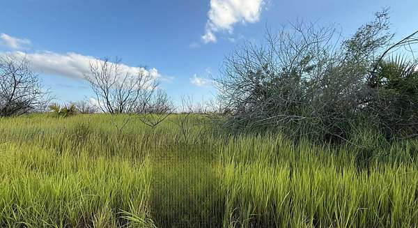 0.29 Acres of Residential Land for Sale in Palm Bay, Florida