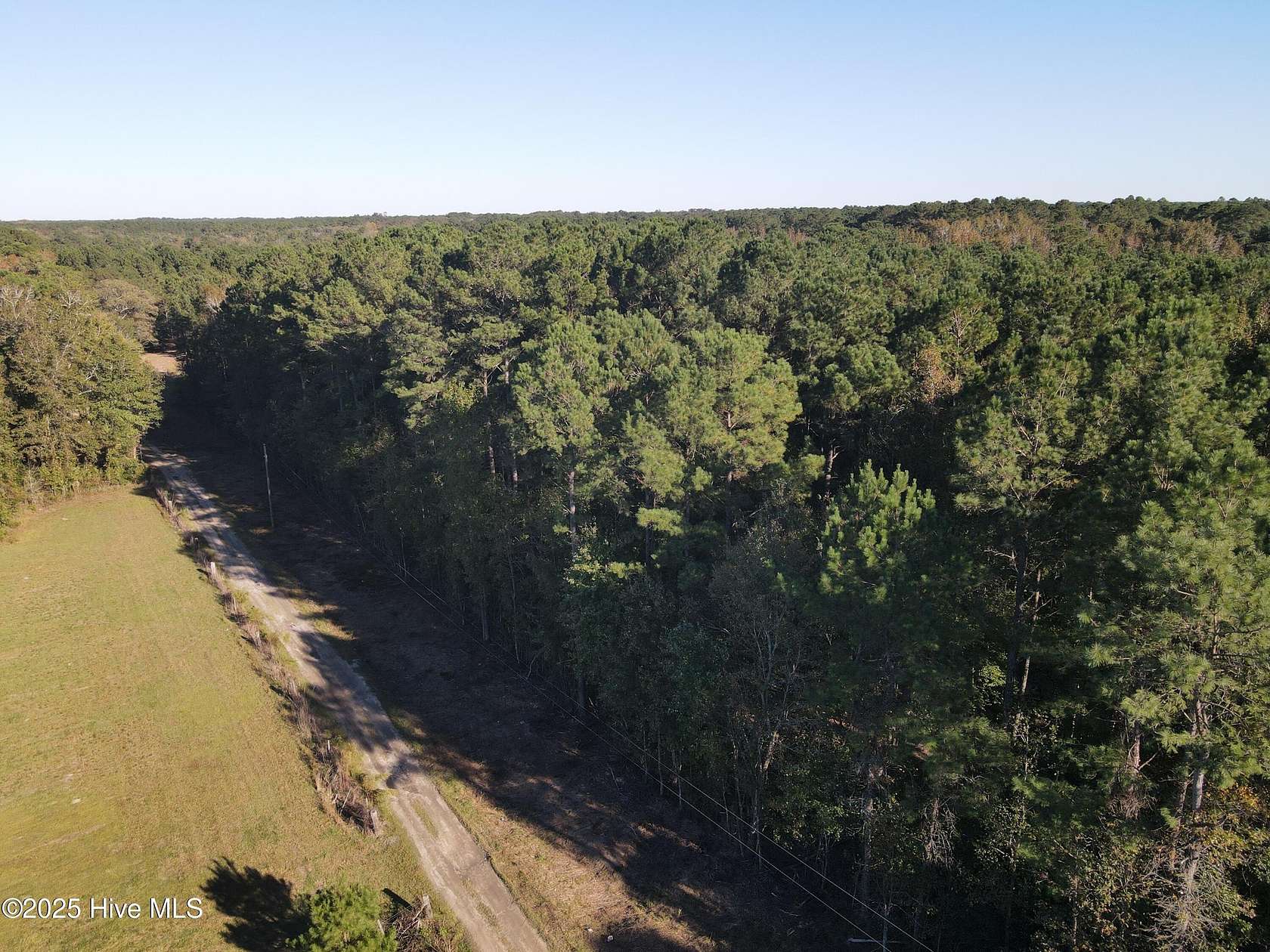 19.4 Acres of Recreational Land for Sale in Currie, North Carolina