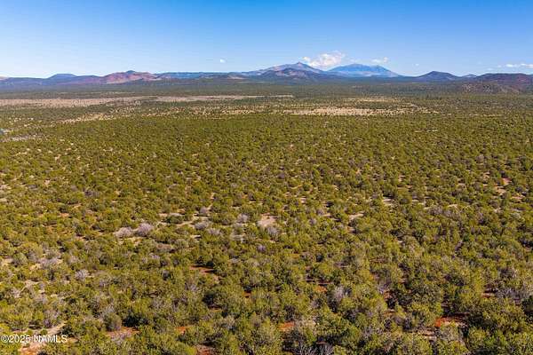40 Acres of Land for Sale in Williams, Arizona