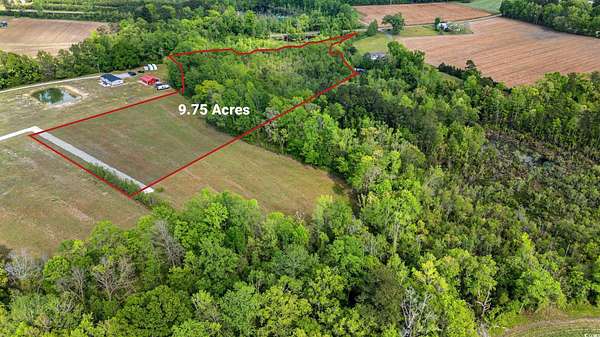 9.75 Acres of Residential Land for Sale in Johnsonville, South Carolina