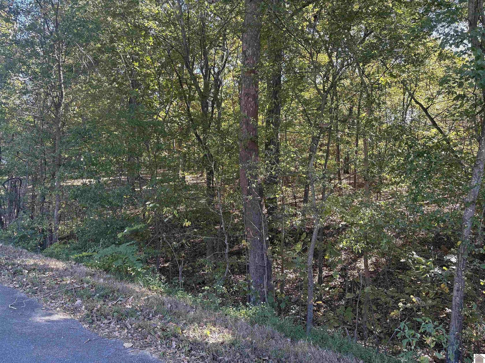 0.63 Acres of Residential Land for Sale in Calvert City, Kentucky
