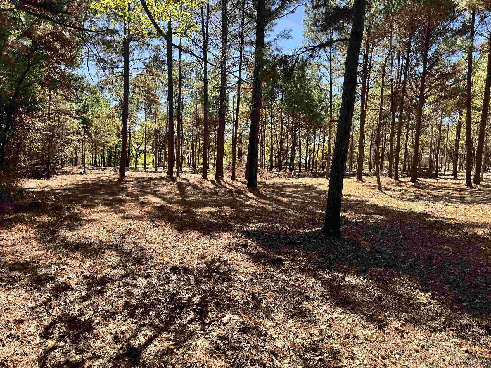 1 Acre of Residential Land for Sale in White Oak, Texas