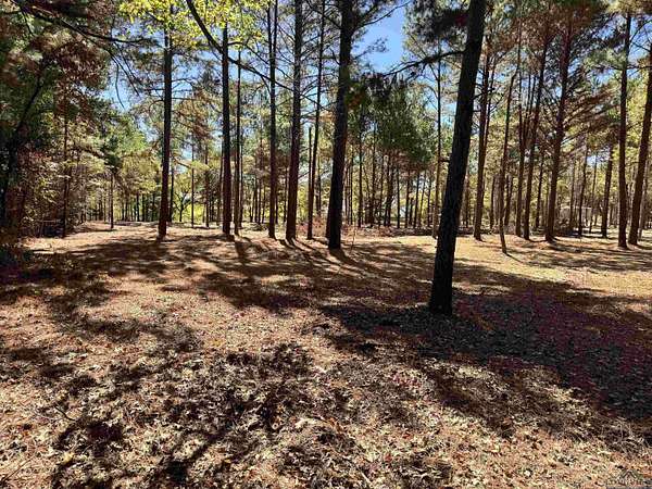 1 Acre of Residential Land for Sale in White Oak, Texas