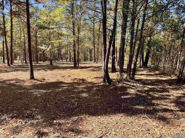 1 Acre of Residential Land for Sale in White Oak, Texas