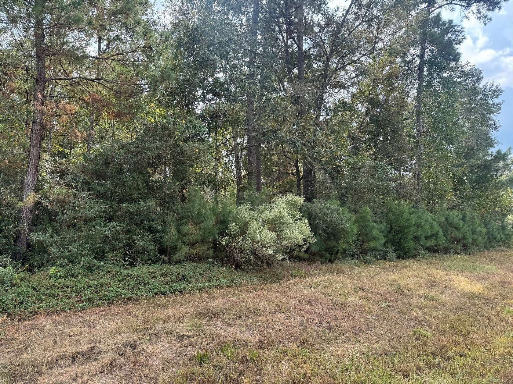 2.18 Acres of Residential Land for Sale in Huntsville, Texas
