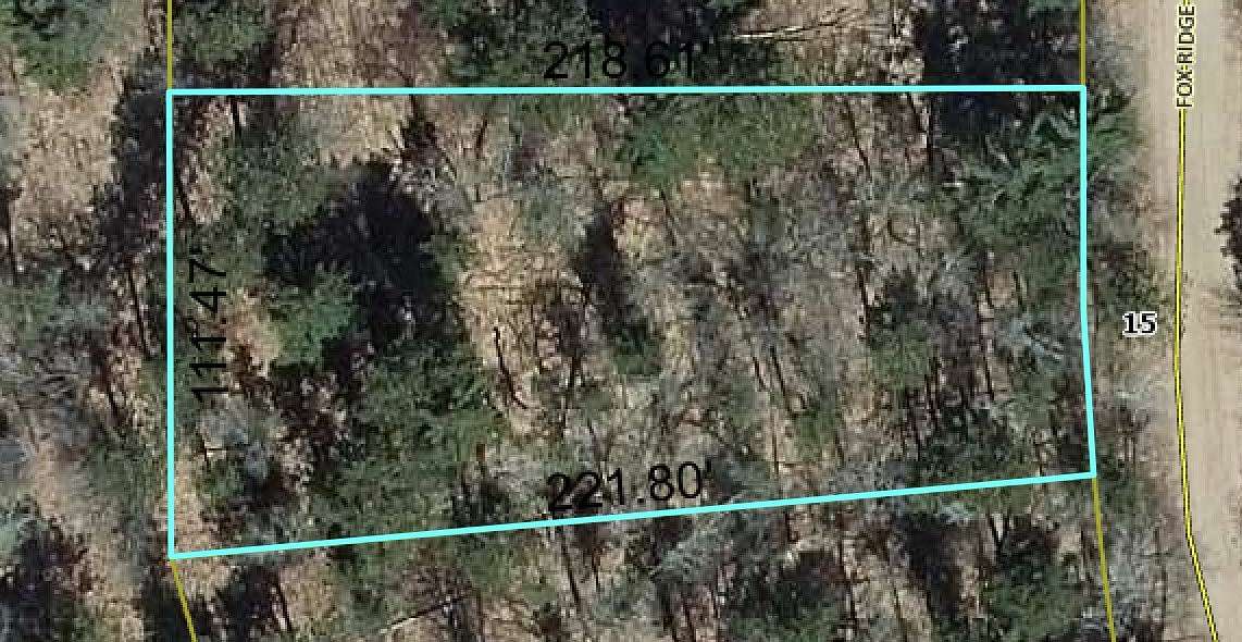 0.49 Acres of Residential Land for Sale in Danbury, Wisconsin