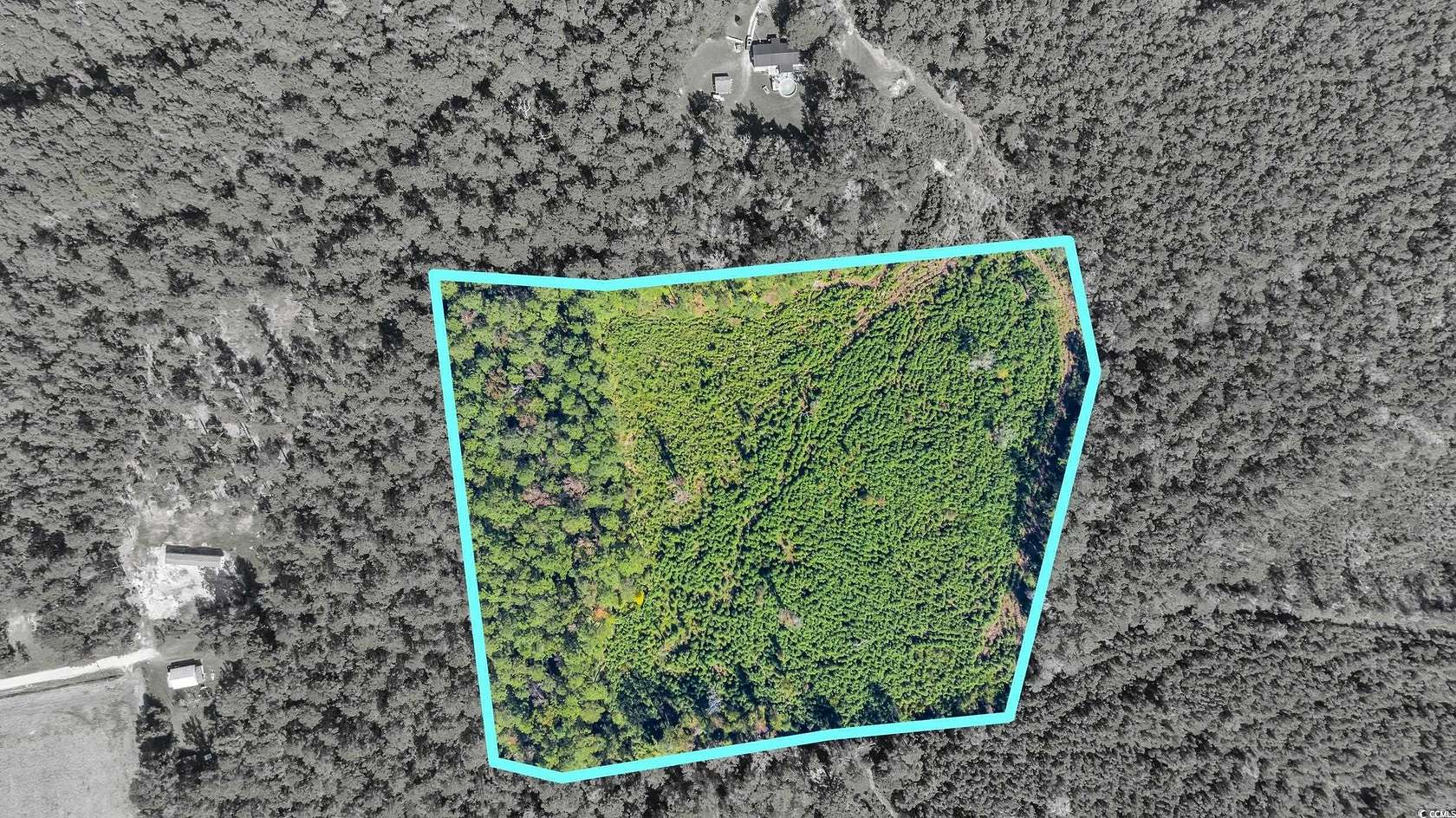 12 Acres of Land for Sale in Conway, South Carolina