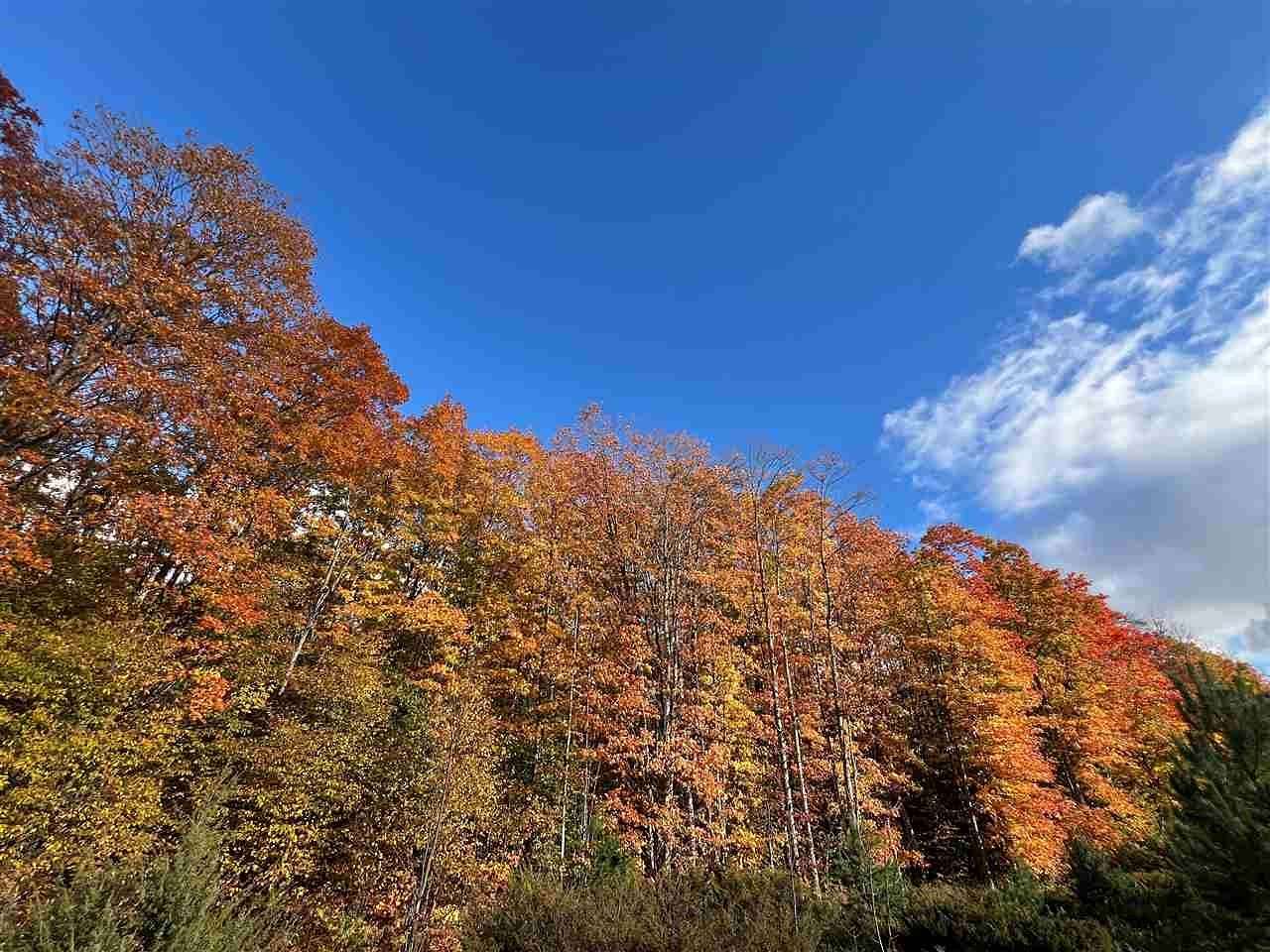 40 Acres of Land for Sale in Boyne City, Michigan