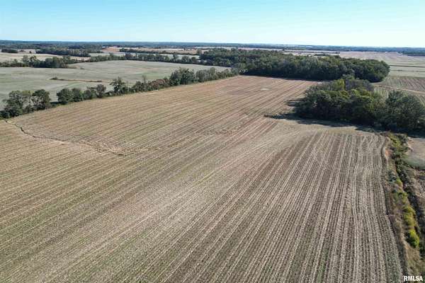 245 Acres of Land for Sale in Eldorado, Illinois