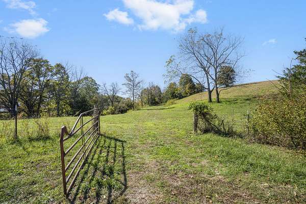 81.4 Acres of Land for Sale in Walnut Shade, Missouri