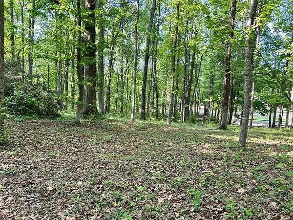 2 Acres of Residential Land for Sale in Alpharetta, Georgia