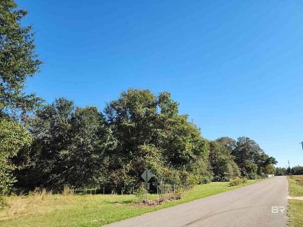 15.2 Acres of Land for Sale in Atmore, Alabama