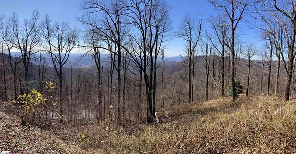 1.25 Acres of Residential Land for Sale in Zirconia, North Carolina