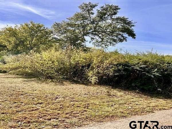 0.1 Acres of Residential Land for Sale in Henderson, Texas