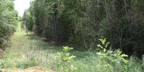 7 Acres of Residential Land for Sale in Cherokee, Alabama