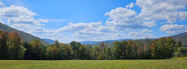 90.1 Acres of Recreational Land for Sale in Roxbury, New York