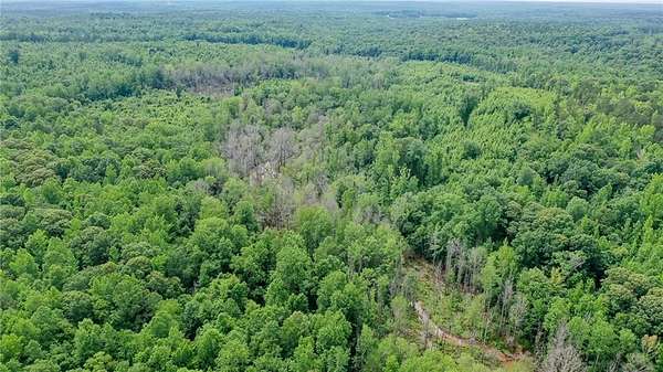 19.4 Acres of Recreational & Residential Land for Sale in Waverly, Alabama