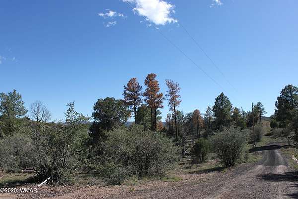 7.5 Acres of Residential Land for Sale in Show Low, Arizona