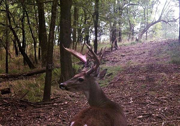 70 Acres of Recreational Land with Home for Sale in Haworth, Oklahoma