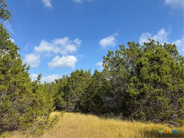 12 Acres of Land for Sale in Bertram, Texas