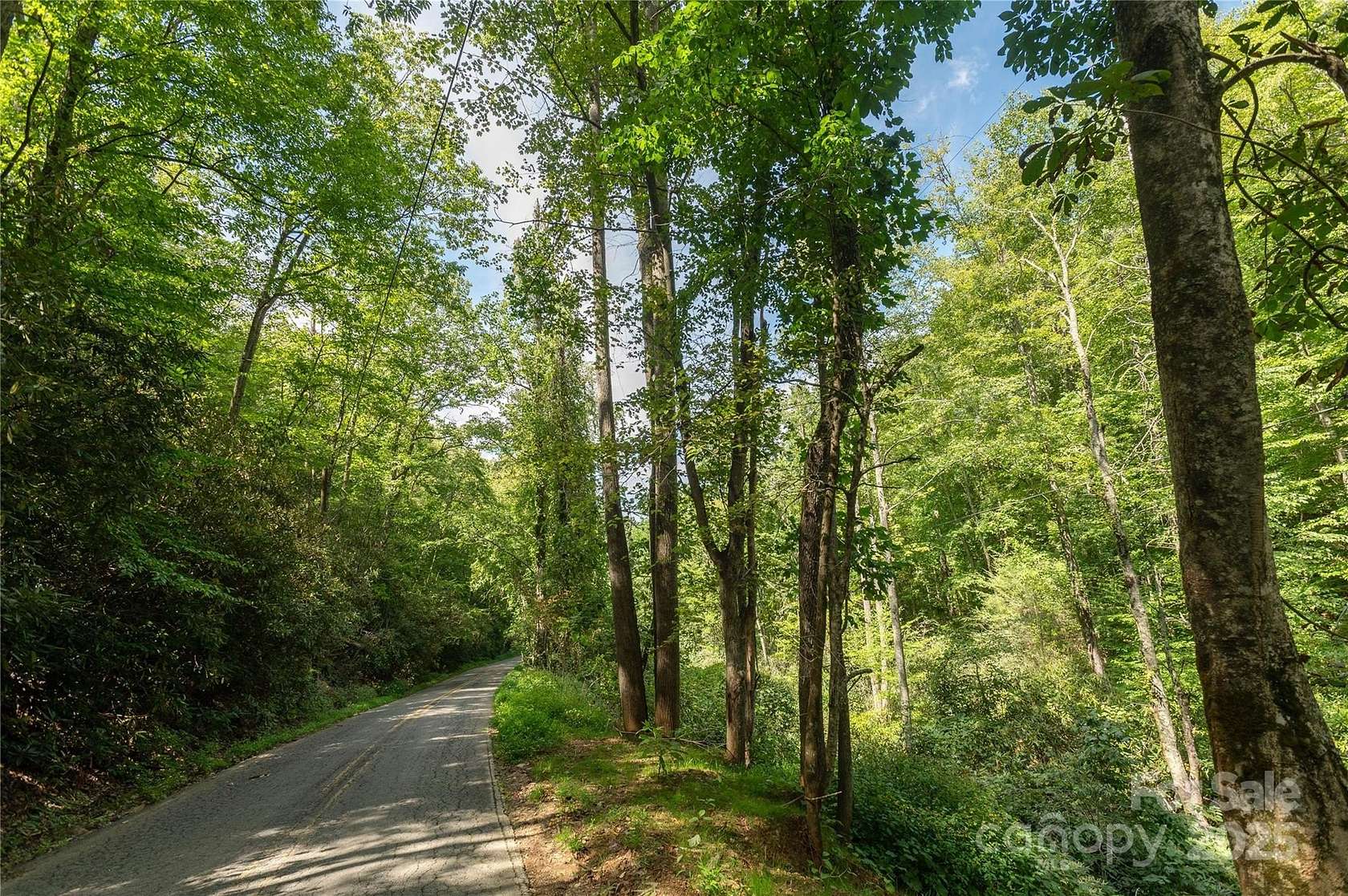 19.2 Acres of Land for Sale in Swannanoa, North Carolina