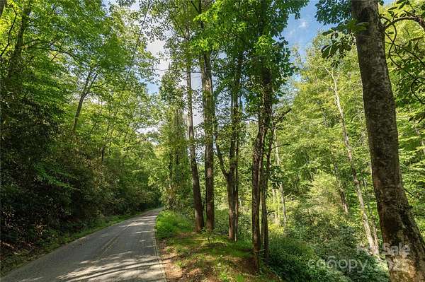 19.2 Acres of Land for Sale in Swannanoa, North Carolina