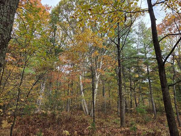 3.55 Acres of Land for Sale in Beecher, Wisconsin