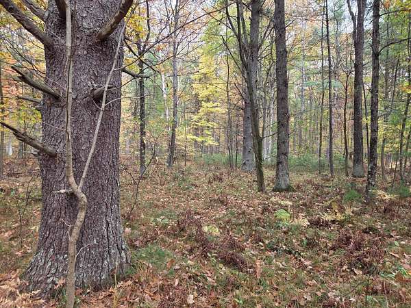 2.3 Acres of Land for Sale in Beecher, Wisconsin