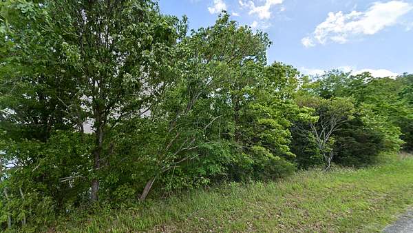 0.36 Acres of Residential Land for Sale in Horseshoe Bend, Arkansas