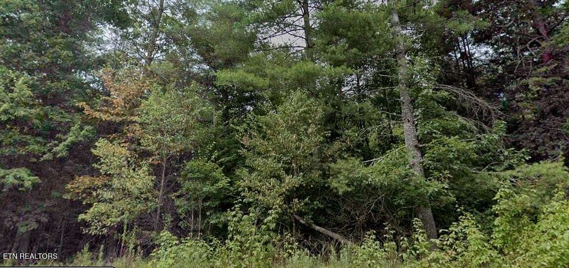 20 Acres of Land for Sale in Lancing, Tennessee