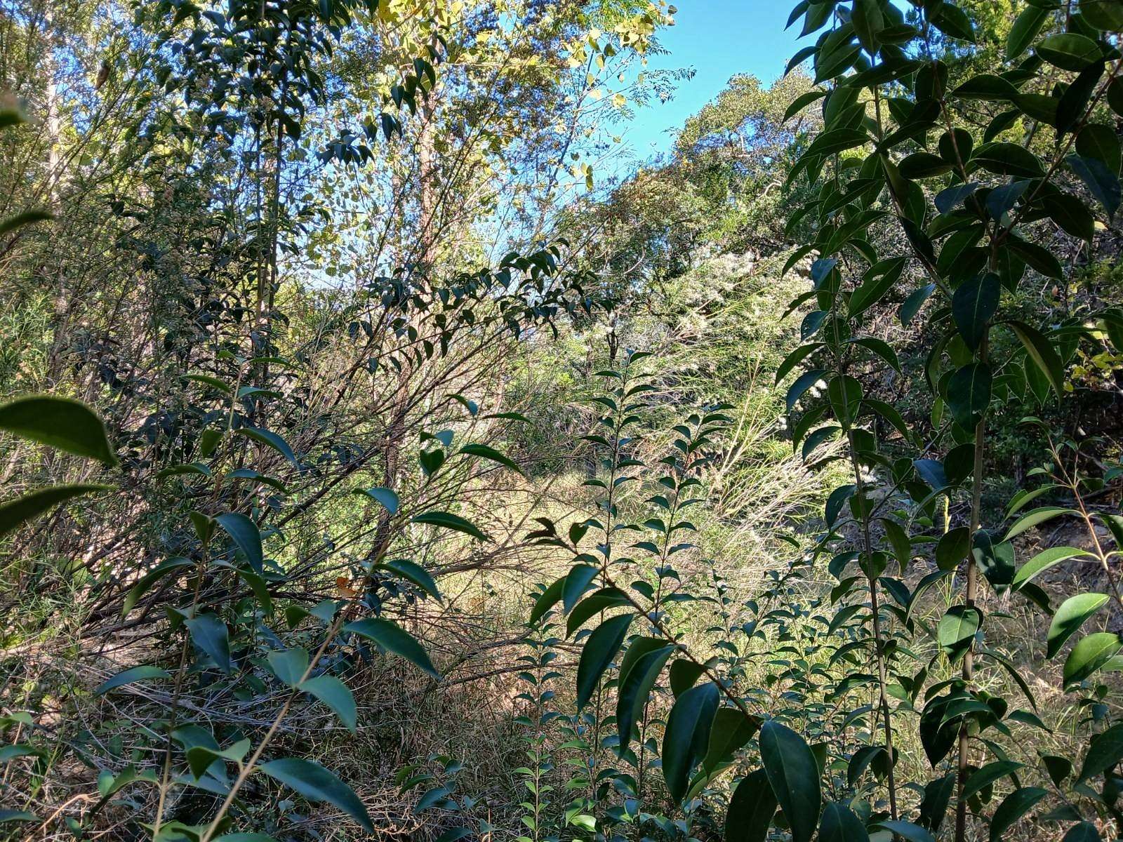 0.6 Acres of Land for Sale in Granbury, Texas