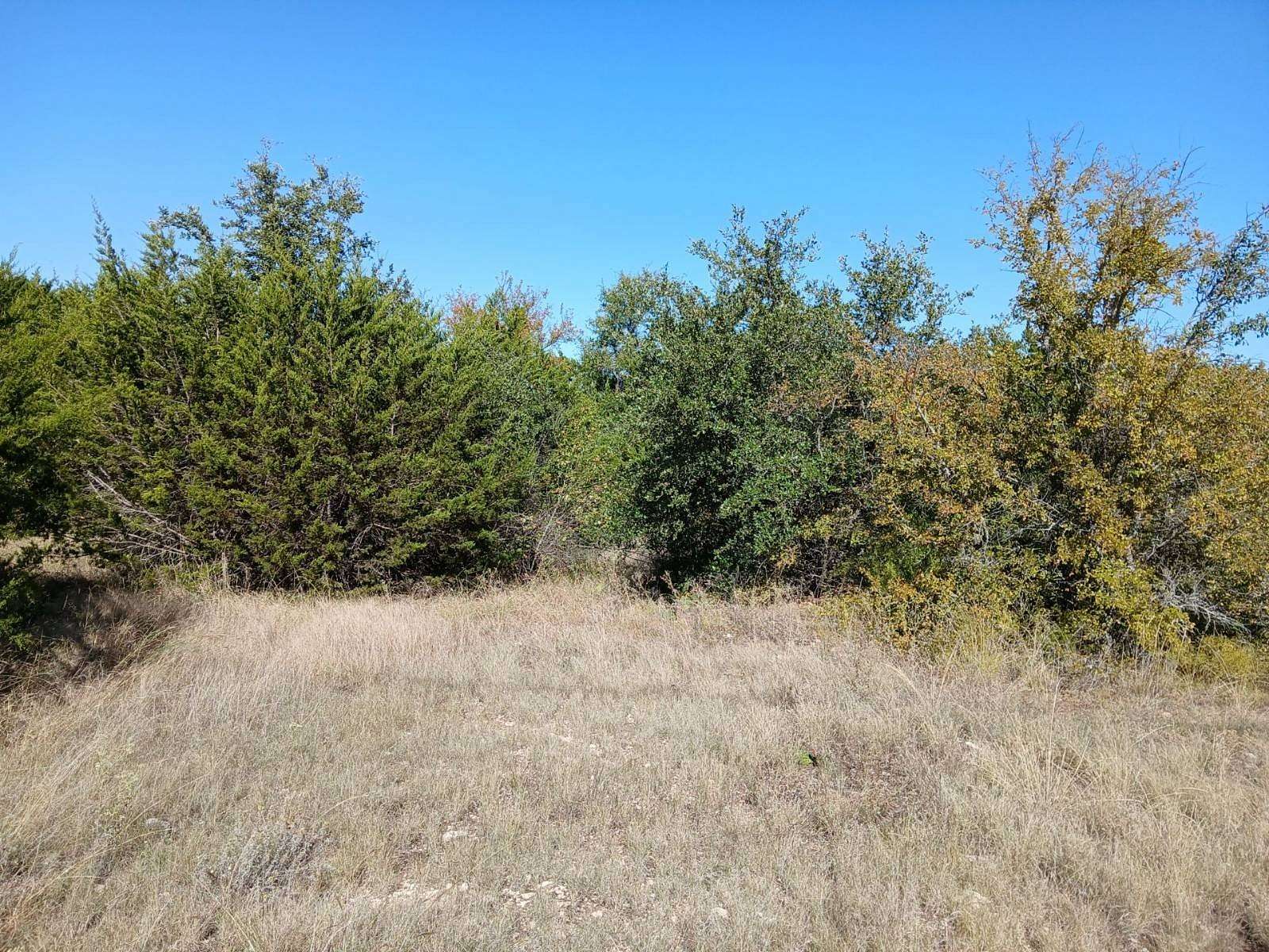 0.68 Acres of Land for Sale in Granbury, Texas