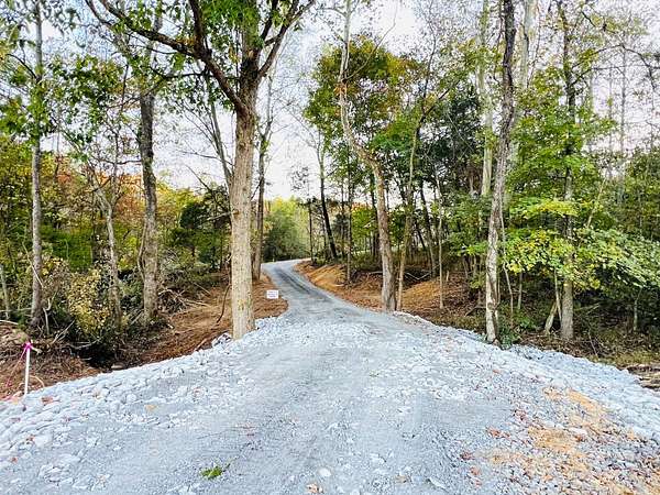 50.6 Acres of Land for Auction in Columbia, Kentucky