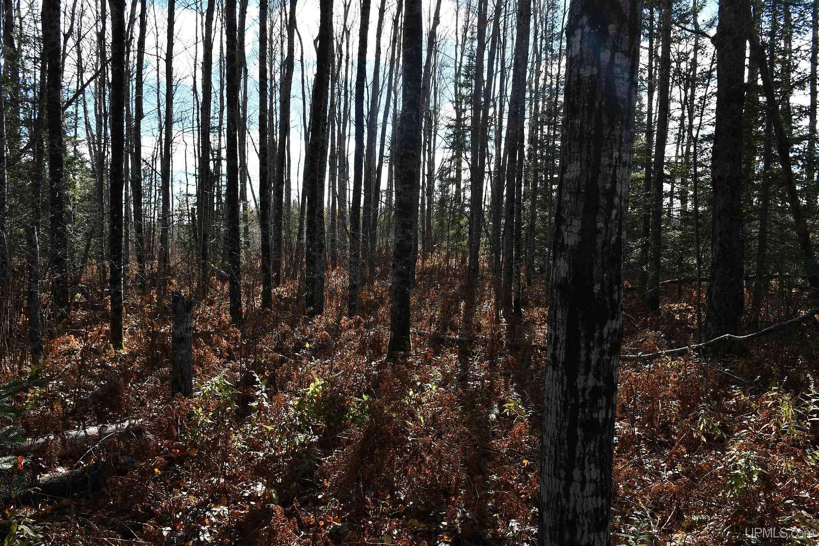 40 Acres of Agricultural Land for Sale in Rock, Michigan