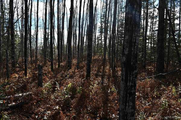 40 Acres of Agricultural Land for Sale in Rock, Michigan