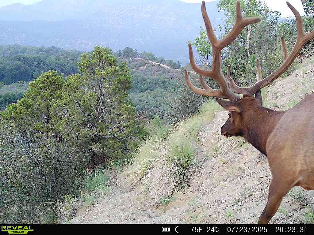 640 Acres of Land for Sale in De Beque, Colorado