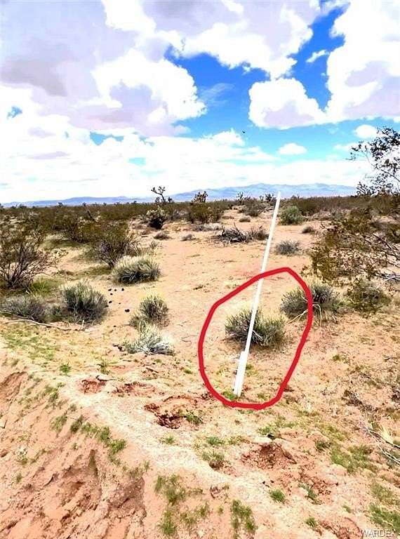 40 Acres of Land for Sale in Yucca, Arizona