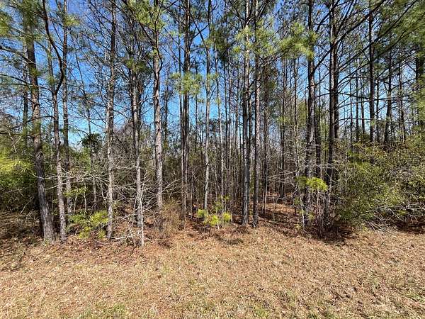 2.66 Acres of Land for Sale in Maplesville, Alabama