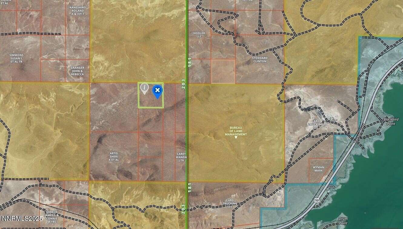 40 Acres of Land for Sale in Silver Springs, Nevada