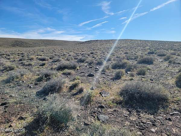 40 Acres of Land for Sale in Silver Springs, Nevada