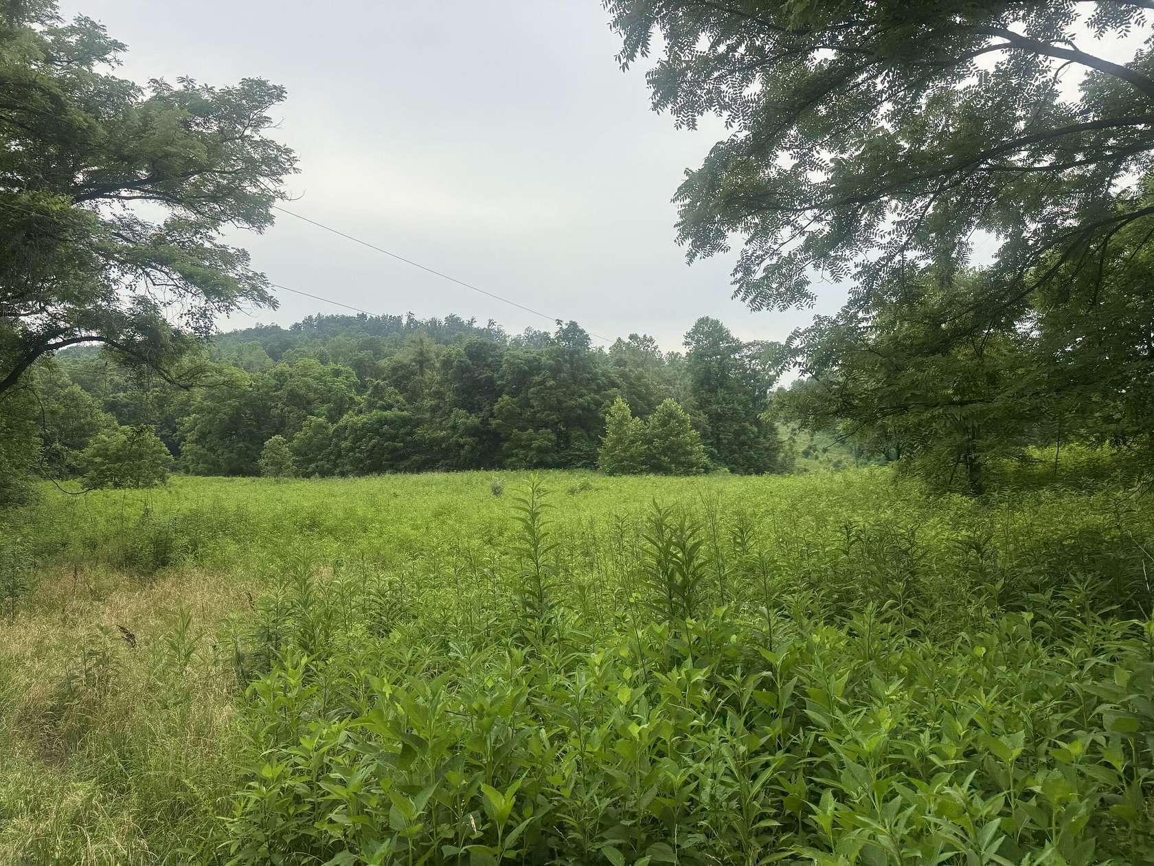 122 Acres of Recreational Land for Sale in Somerset, Kentucky