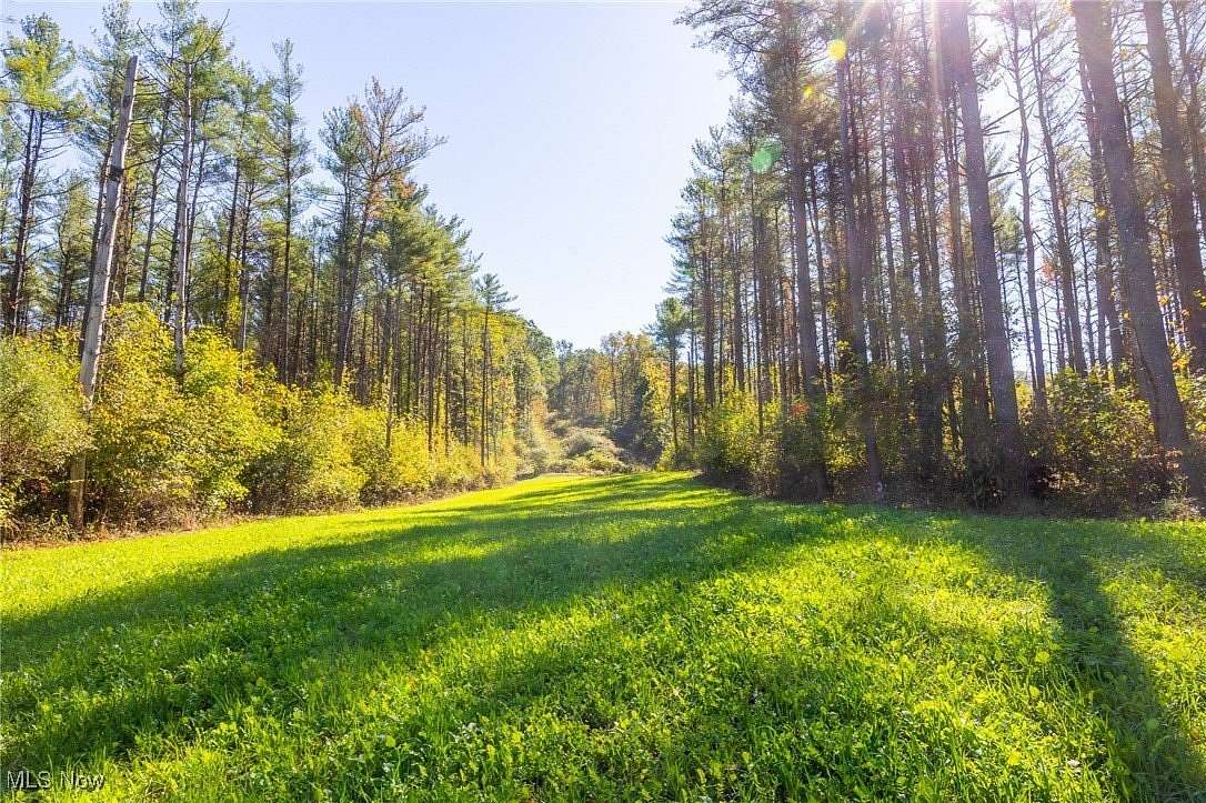 125 Acres of Recreational Land for Sale in Cadiz, Ohio