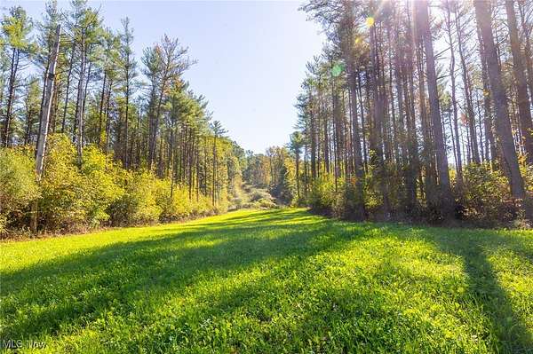 125 Acres of Recreational Land for Sale in Cadiz, Ohio