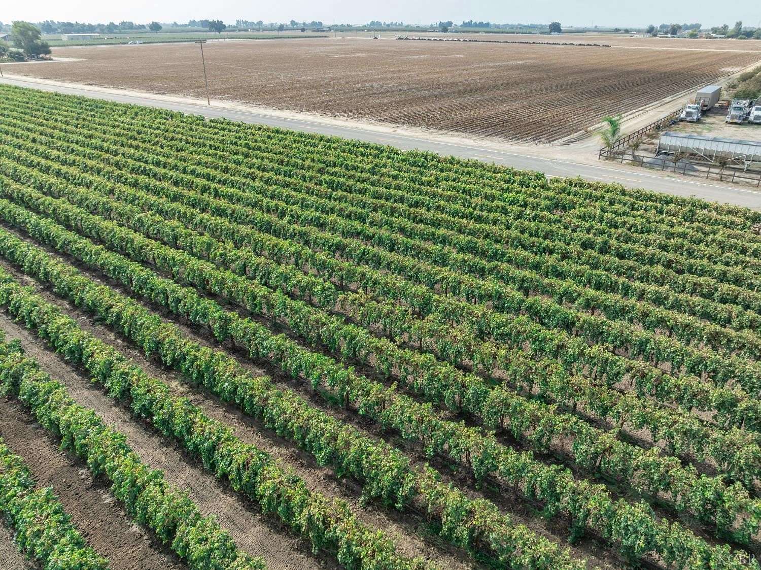 110 Acres of Agricultural Land for Sale in Lemoore, California