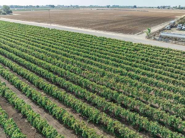 110 Acres of Agricultural Land for Sale in Lemoore, California