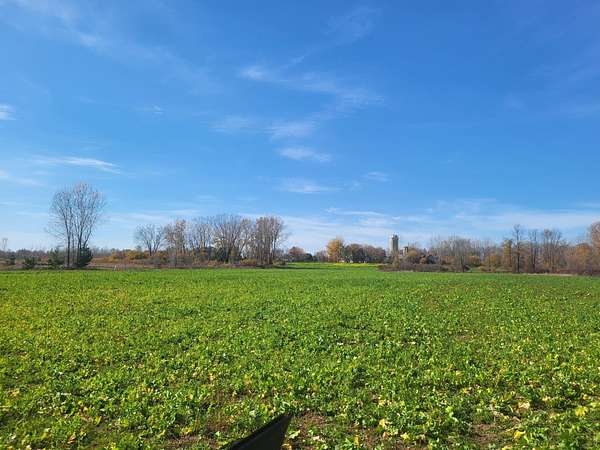 23 Acres of Land for Sale in Lena, Wisconsin