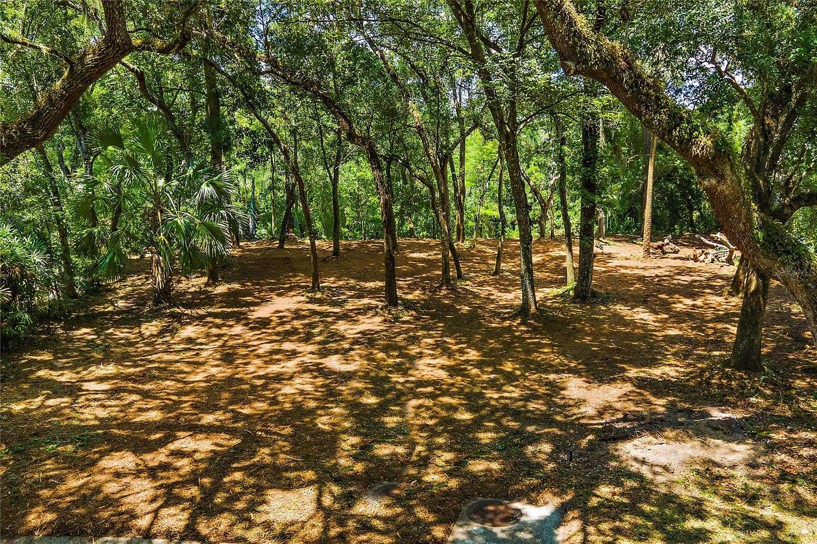 0.27 Acres of Residential Land for Sale in Temple Terrace, Florida