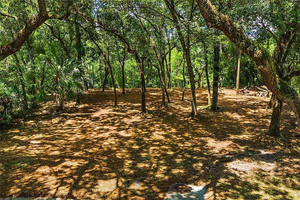 0.27 Acres of Residential Land for Sale in Temple Terrace, Florida